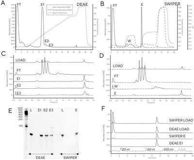 HPLC for at-line reaction monitoring and purification improves yield and purity of tRNA